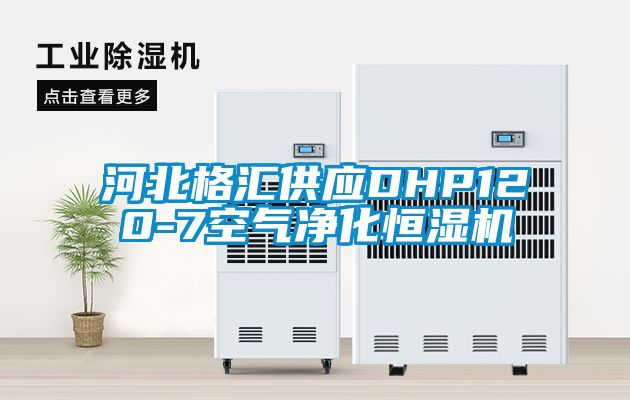 河北格匯供應(yīng)DHP120-7空氣凈化恒濕機