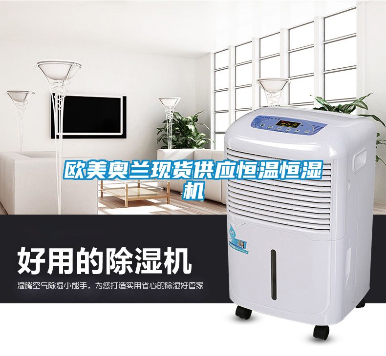 歐美奧蘭現(xiàn)貨供應(yīng)恒溫恒濕機(jī)