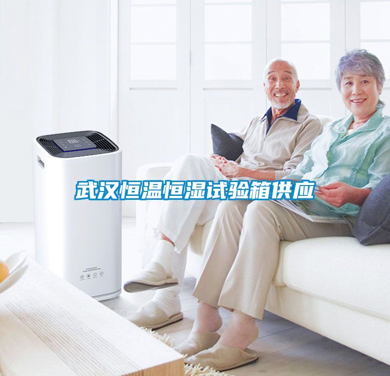 武漢恒溫恒濕試驗(yàn)箱供應(yīng)