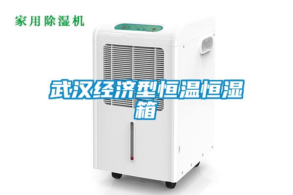 武漢經濟型恒溫恒濕箱
