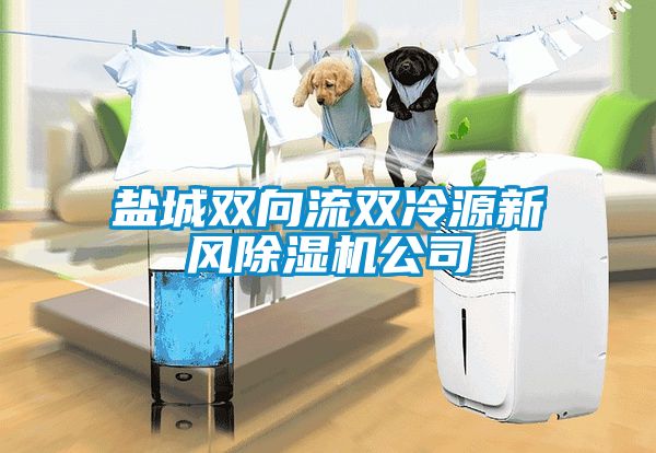 鹽城雙向流雙冷源新風(fēng)除濕機公司