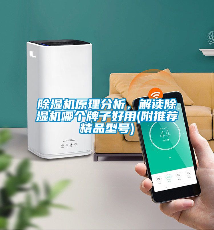 除濕機(jī)原理分析，解讀除濕機(jī)哪個(gè)牌子好用(附推薦精品型號(hào))