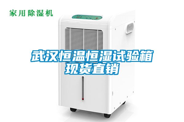 武漢恒溫恒濕試驗箱現(xiàn)貨直銷