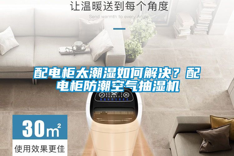 配電柜太潮濕如何解決？配電柜防潮空氣抽濕機(jī)