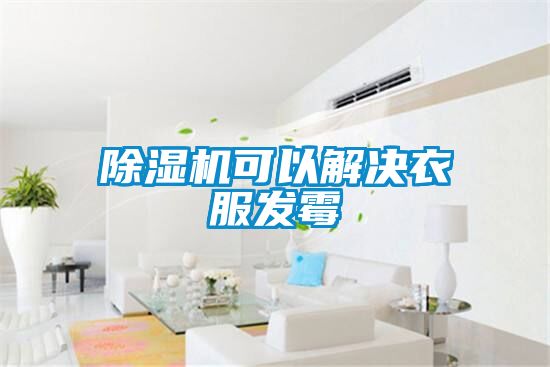 除濕機可以解決衣服發霉