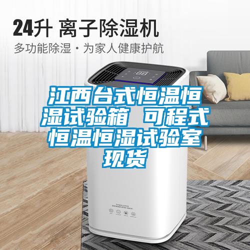 江西臺式恒溫恒濕試驗箱 可程式恒溫恒濕試驗室現貨