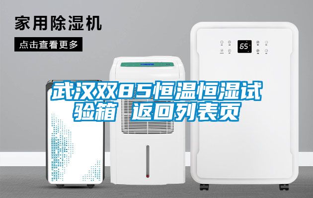 武漢雙85恒溫恒濕試驗(yàn)箱 返回列表頁(yè)