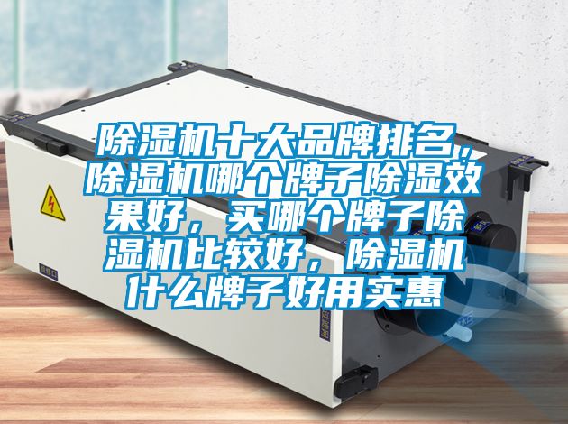 除濕機十大品牌排名，除濕機哪個牌子除濕效果好，買哪個牌子除濕機比較好，除濕機什么牌子好用實惠