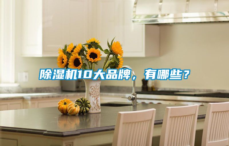 除濕機10大品牌，有哪些？