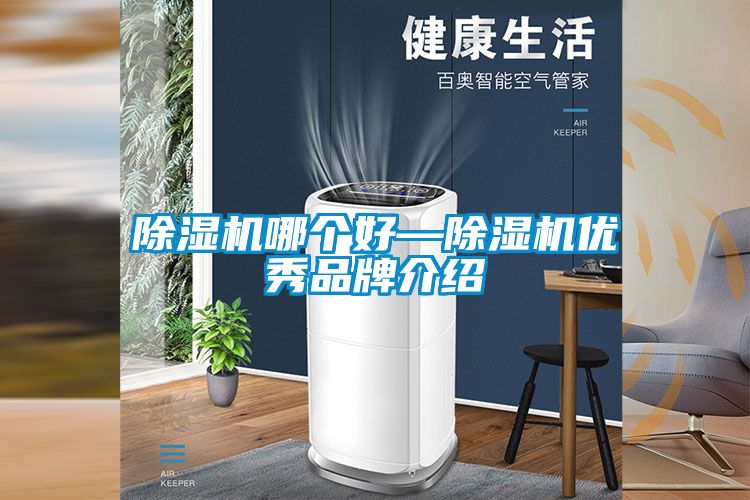 除濕機(jī)哪個好—除濕機(jī)優(yōu)秀品牌介紹