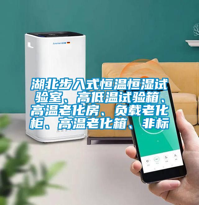 湖北步入式恒溫恒濕試驗室、高低溫試驗箱、高溫老化房、負載老化柜、高溫老化箱、非標