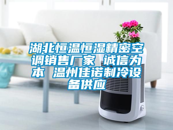 湖北恒溫恒濕精密空調(diào)銷(xiāo)售廠家 誠(chéng)信為本 溫州佳諾制冷設(shè)備供應(yīng)