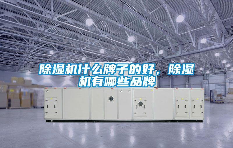 除濕機什么牌子的好，除濕機有哪些品牌