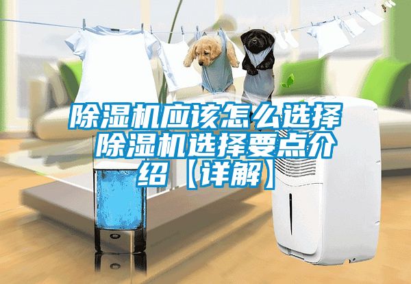 除濕機(jī)應(yīng)該怎么選擇 除濕機(jī)選擇要點介紹【詳解】