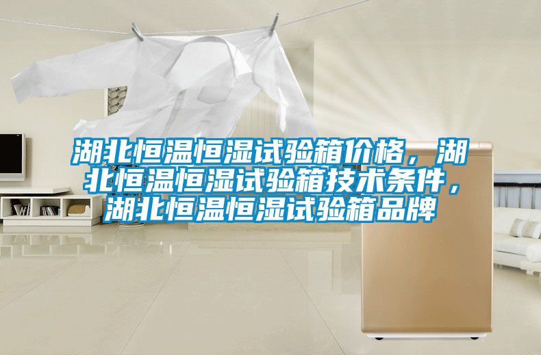 湖北恒溫恒濕試驗箱價格，湖北恒溫恒濕試驗箱技術條件，湖北恒溫恒濕試驗箱品牌