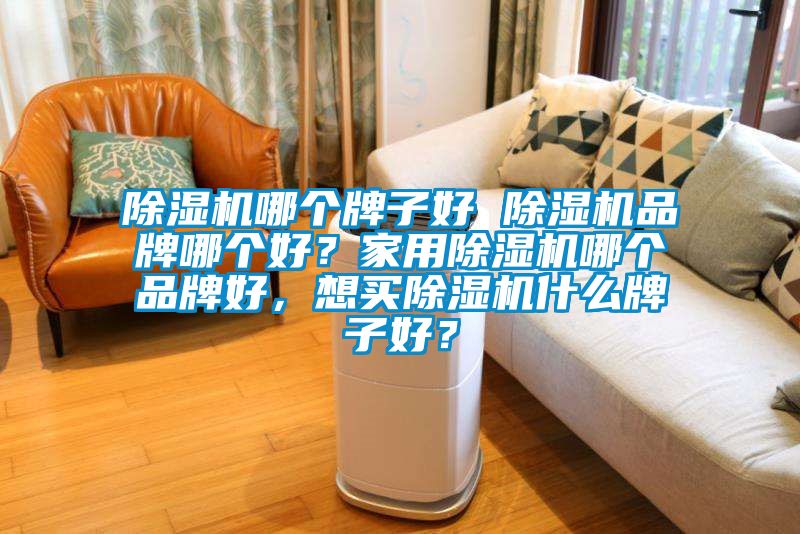 除濕機哪個牌子好 除濕機品牌哪個好？家用除濕機哪個品牌好，想買除濕機什么牌子好？