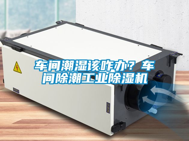 車間潮濕該咋辦？車間除潮工業(yè)除濕機(jī)