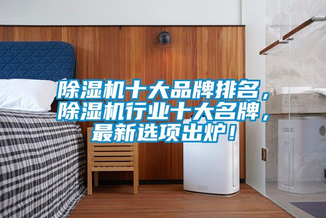 除濕機(jī)十大品牌排名，除濕機(jī)行業(yè)十大名牌，最新選項出爐！