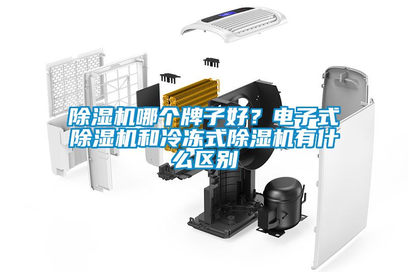 除濕機哪個牌子好？電子式除濕機和冷凍式除濕機有什么區(qū)別