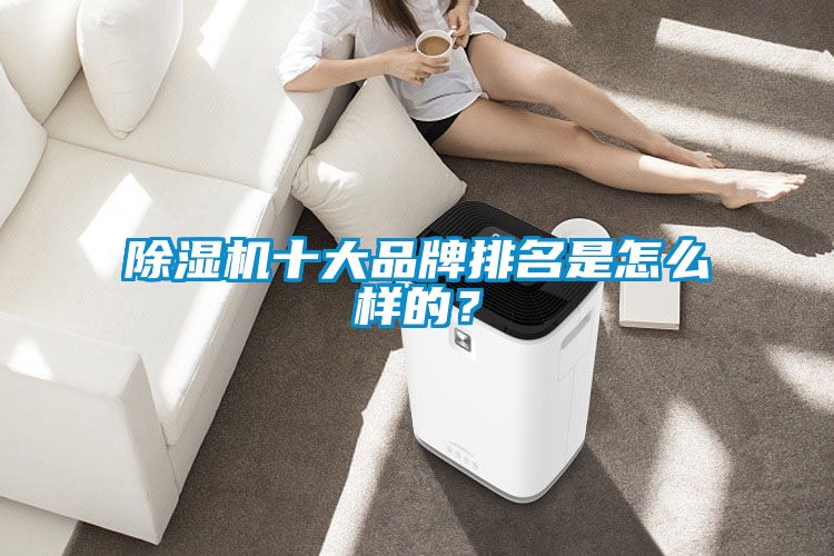 除濕機(jī)十大品牌排名是怎么樣的？