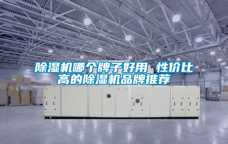 除濕機(jī)哪個牌子好用 性價(jià)比高的除濕機(jī)品牌推薦