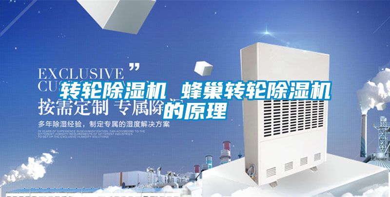 轉(zhuǎn)輪除濕機(jī) 蜂巢轉(zhuǎn)輪除濕機(jī)的原理