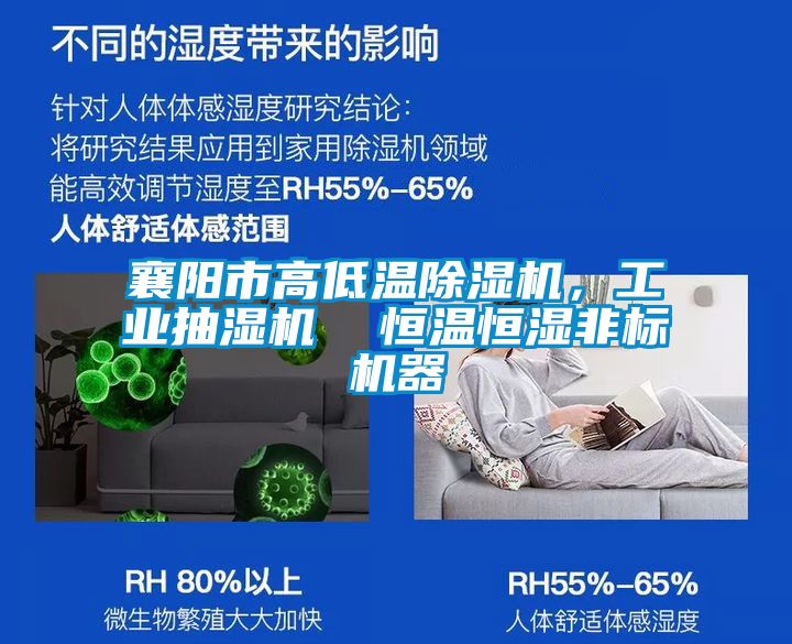 襄陽市高低溫除濕機，工業抽濕機  恒溫恒濕非標機器