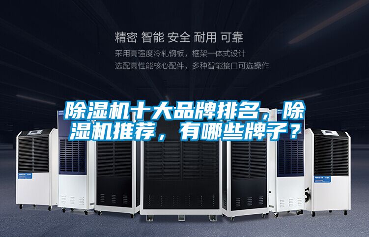 除濕機(jī)十大品牌排名，除濕機(jī)推薦，有哪些牌子？