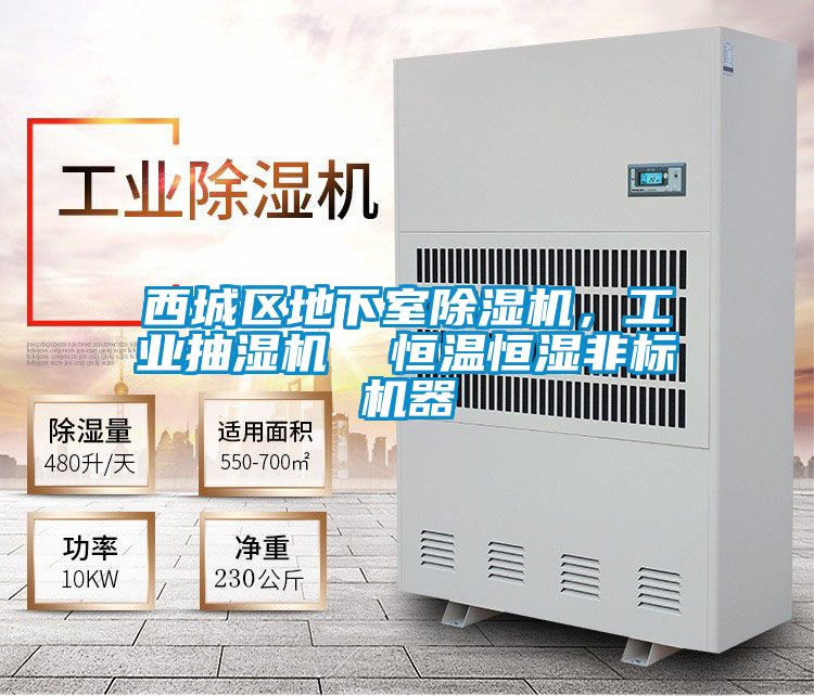 西城區(qū)地下室除濕機(jī)，工業(yè)抽濕機(jī)  恒溫恒濕非標(biāo)機(jī)器