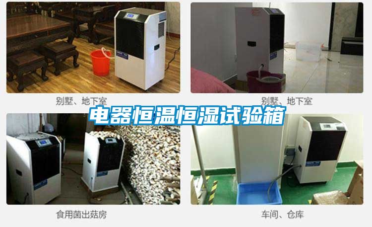 電器恒溫恒濕試驗(yàn)箱