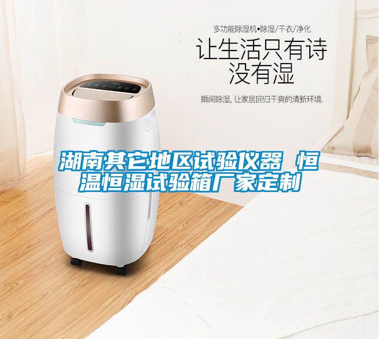 湖南其它地區試驗儀器 恒溫恒濕試驗箱廠家定制