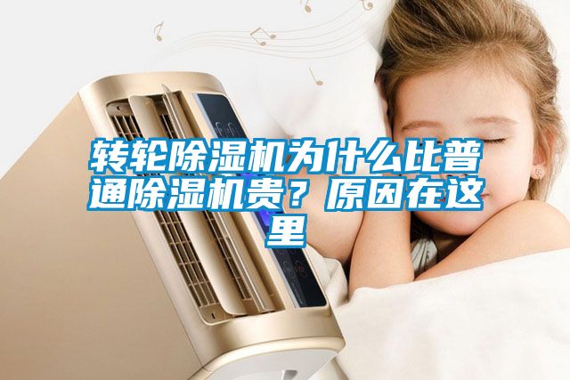 轉輪除濕機為什么比普通除濕機貴？原因在這里