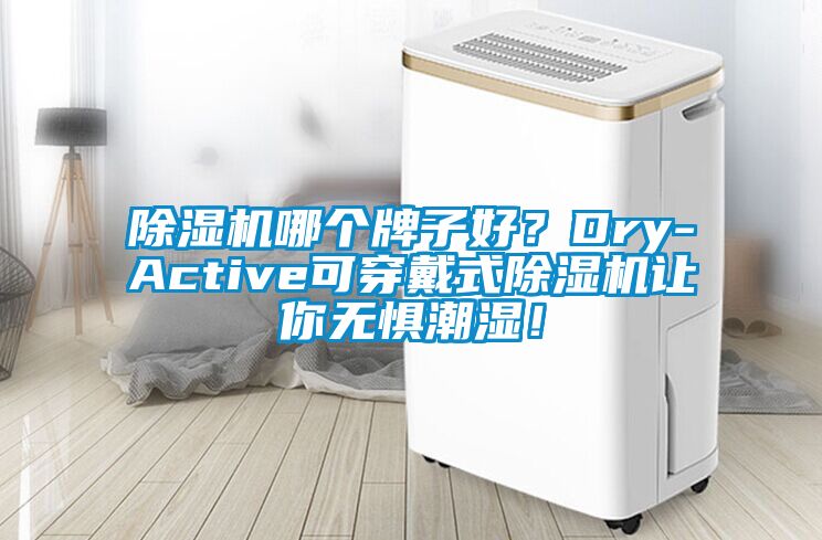 除濕機哪個牌子好？Dry-Active可穿戴式除濕機讓你無懼潮濕！