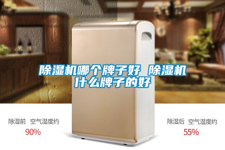 除濕機哪個牌子好 除濕機什么牌子的好