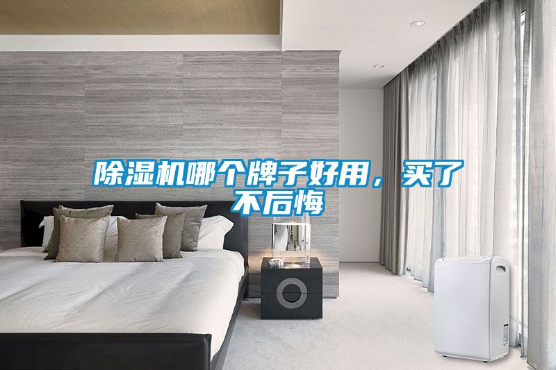 除濕機哪個牌子好用，買了不后悔