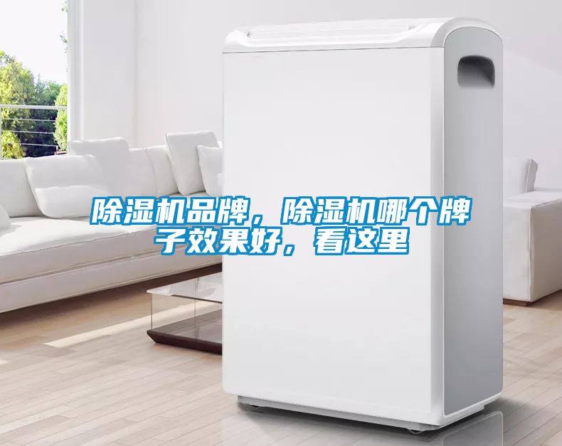 除濕機(jī)品牌，除濕機(jī)哪個牌子效果好，看這里