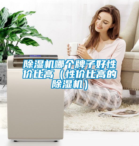 除濕機(jī)哪個牌子好性價比高（性價比高的除濕機(jī)）