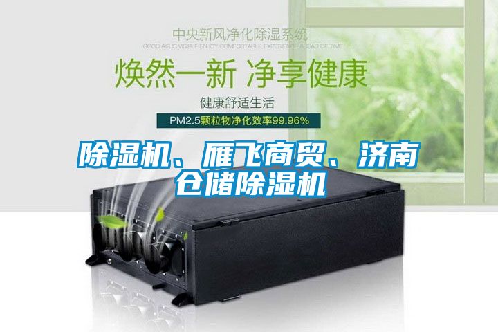 除濕機、雁飛商貿(mào)、濟南倉儲除濕機