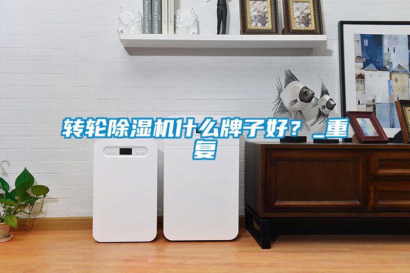 轉輪除濕機什么牌子好？_重復