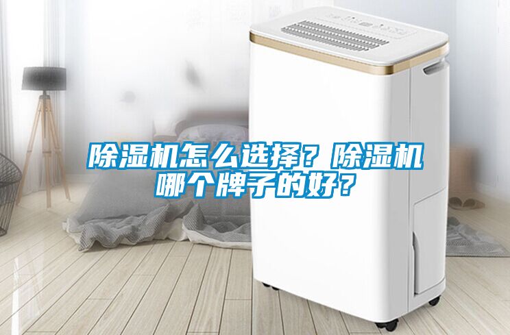 除濕機怎么選擇？除濕機哪個牌子的好？
