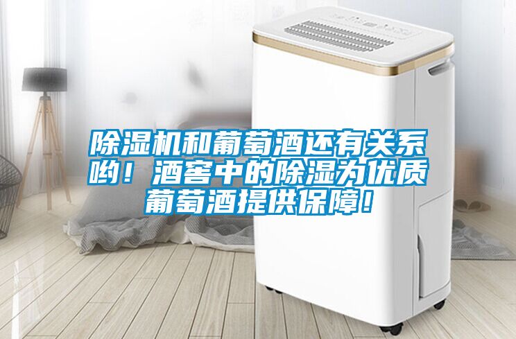 除濕機和葡萄酒還有關系喲！酒窖中的除濕為優質葡萄酒提供保障！