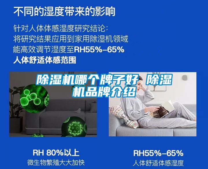 除濕機(jī)哪個牌子好 除濕機(jī)品牌介紹