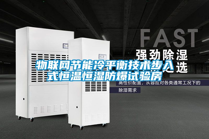 物聯網節能冷平衡技術步入式恒溫恒濕防爆試驗房