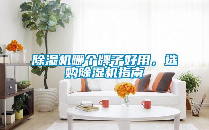 除濕機哪個牌子好用，選購除濕機指南