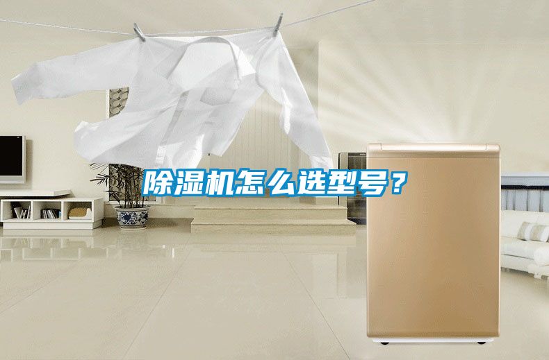除濕機怎么選型號？