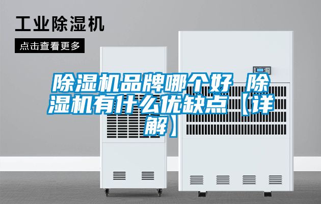 除濕機(jī)品牌哪個好 除濕機(jī)有什么優(yōu)缺點(diǎn)【詳解】