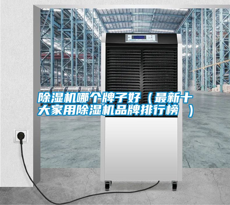 除濕機哪個牌子好（最新十大家用除濕機品牌排行榜 ）