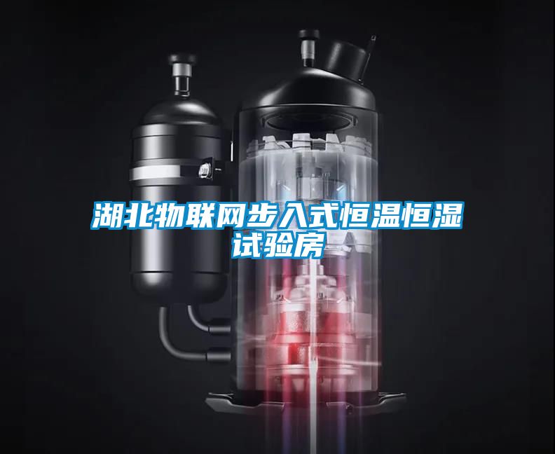 湖北物聯(lián)網(wǎng)步入式恒溫恒濕試驗房