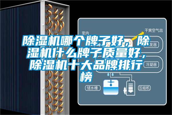 除濕機(jī)哪個(gè)牌子好，除濕機(jī)什么牌子質(zhì)量好，除濕機(jī)十大品牌排行榜