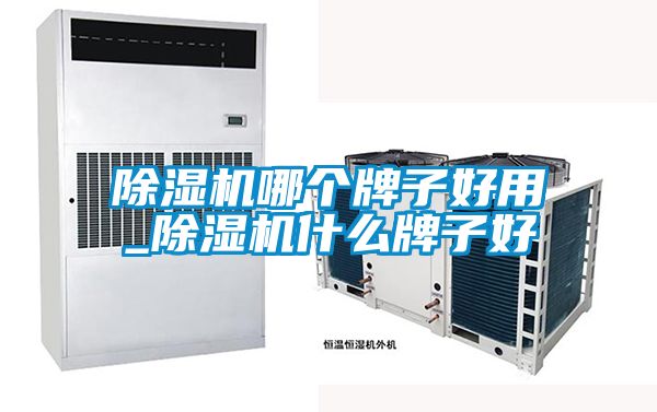 除濕機哪個牌子好用_除濕機什么牌子好